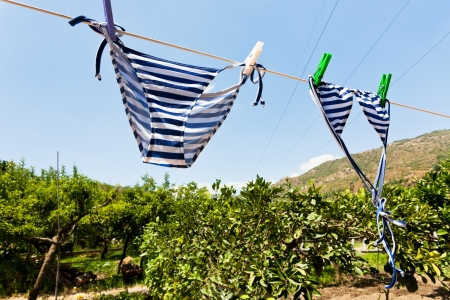 drying female swimsuit outdoor in rural gardenの写真素材