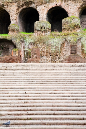 steps to ancient Palatine palace, Rome, Italyのeditorial素材