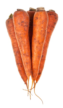 several fresh orange carrots isolated on white backgroundの写真素材