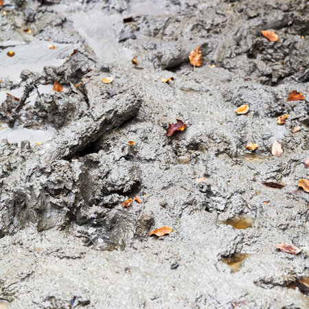small Mud volcano Solontsy in caucasus mountains