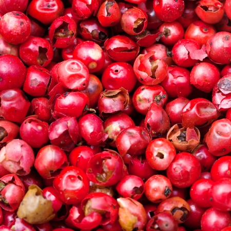 many red pepper peppercorns close upの写真素材