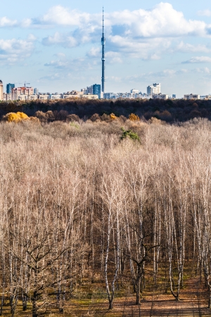 bare trees and TV tower on horizon in autumn dayの写真素材