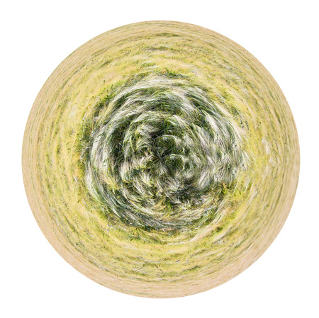 little planet - spherical view of country barley field in France in summer isolated on white backgroundの写真素材