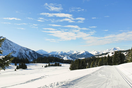 ski tracks in snow forest on mountain in Portes du Soleil region, Morzine - Avoriaz, Franceの写真素材
