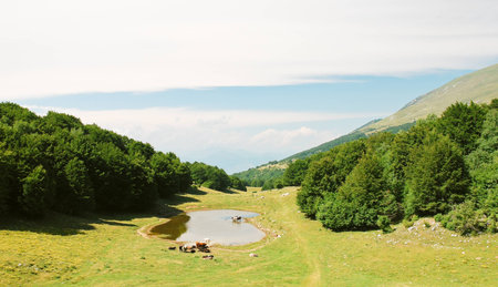 country landscape in Monte Baldo mountains in summer day, Lake garda region, Alps, Italyの写真素材
