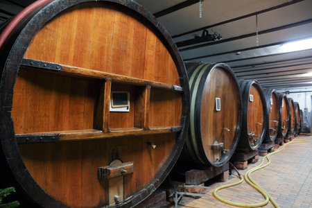 Oak wine barrels in a wine cellar, Alsace, France