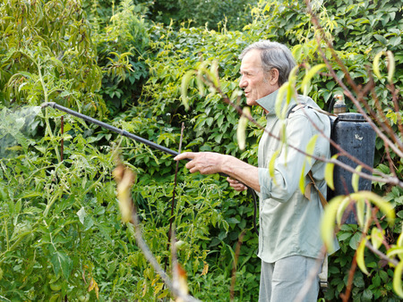 man spraying of pesticide on country garden in summerの写真素材