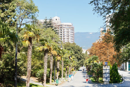 YALTA, RUSSIA - SEPTEMBER 30, 2014: people on Palm alley in Gagarin Primorskiy Park in Yalta, Crimea. Park was founded in 1948-1952 years in mixed landscape and regular stylesのeditorial素材