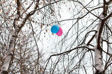 two balloons in branches of trees in winterの写真素材