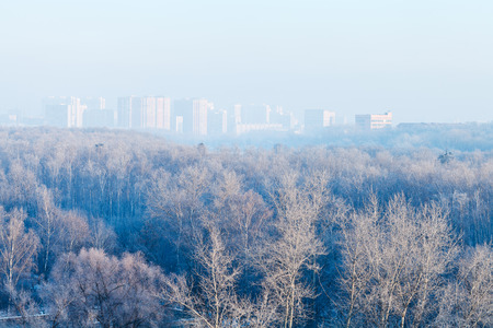 early morning over forest and town in cold winterの写真素材