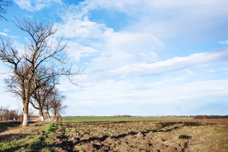 country landscape with ploughed fields in early spring dayの写真素材