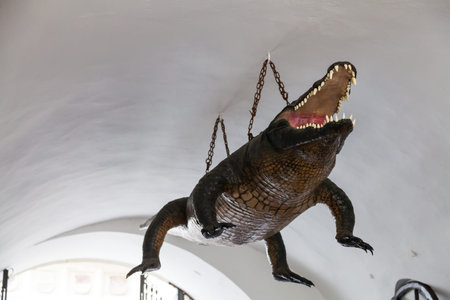 travel to Brno city - The Brno Dragon - symbol of the city in Old Town Hall, Czechのeditorial素材