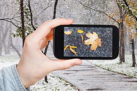 season concept - man taking picture of fallen leaves in first snow in urban park on smartphoneの写真素材