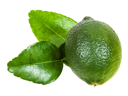 fresh green kaffir lime fruit with leaves isolated on white backgroundの写真素材