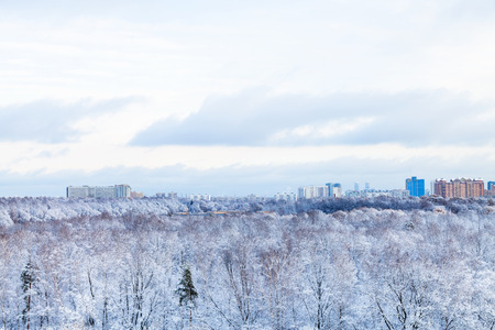 city and frozen park in winter seasonの写真素材
