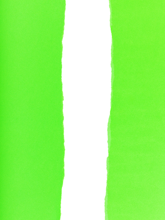 separated halves of the sheet of green ripped paper on white backgroundの写真素材