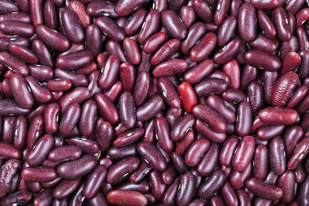 food background - many raw dark red kidney beans