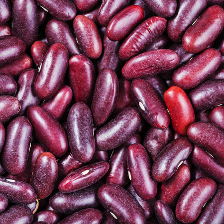 square food background - raw dark red kidney beans close upの写真素材