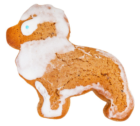 homemade Christmas festive glazed gingerbread cookie - lion figure cookie isolated on white backgroundの写真素材