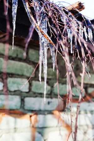 icicles and twigs on roof of house in sunny winter dayの写真素材