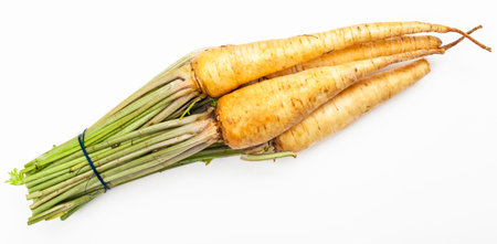bunch of fresh parsley roots on white background