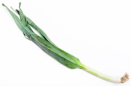 fresh green leek onion on white backgroundの写真素材