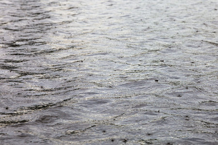 heavy rain over water surface of pond in summer day