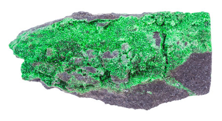 macro shooting of geological collection mineral - druse of uvarovite crystals on stone isolated on...