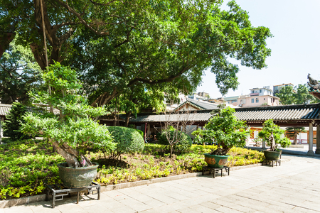 GUANGZHOU, CHINA - APRIL 1, 2017: bonsai in court of Guangxiao Temple (Bright Obedience, Bright Filial Piety Temple). This is is one of the oldest Buddhist temples in Guangzhou cityのeditorial素材