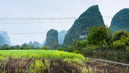 travel to China - plantation near karst mountain in Yangshuo County in spring seasonの写真素材