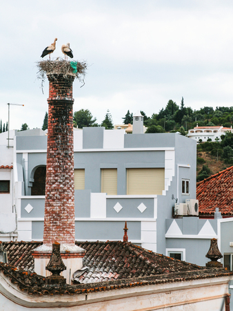 Travel to Algarve Portugal - Storks on the nest on a chimney in Silves cityの写真素材