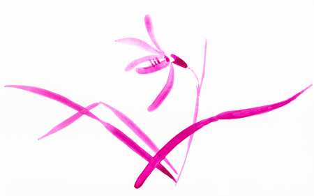 training drawing in suibokuga style with watercolor paints - magenta sketch of orchid flower on white paperの写真素材
