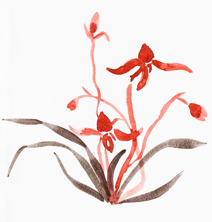 training drawing in suibokuga style with watercolor paints - sketch of orchid flower on white paperの写真素材