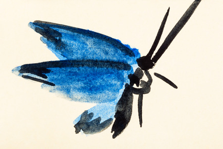 training drawing in suibokuga sumi-e style with watercolor paints - moth with blue wings hand painted on cream colored paperの写真素材
