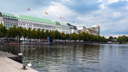 HAMBURG, GERMANY - SEPTEMBER 15, 2017: white swan near embankment of Binnenalster (Inner Alster Lake) in Hamburg city in autumn. Binnenalster is artificial lake formed by the river Alsterのeditorial素材
