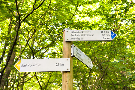 GEROLSTEIN, GERMANY - JUNE 27, 2010: pointers in forest on Gerolsteiner Dolomiten mountains in Nature and Geopark Vulkaneifel reserve near Gerolstein Luftkurort (spa town) in summerのeditorial素材