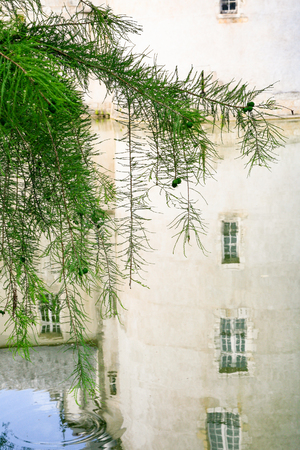 SULLY-SUR-LOIRE, FRANCE - JULY 9, 2010: green twig over moat with reflection of tower castle de Sully-sur-Loire. The fort is Renaissance castle located in Sully-sur-Loire town in Val de Loire regionのeditorial素材