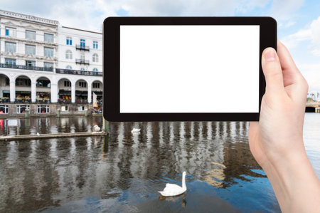 travel concept - tourist photographs swan in Binnenalster (Inner Alster Lake) in Hamburg city in...