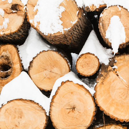 stack of sawed logs in urban Timiryazevskiy park in Moscow city in winterの写真素材