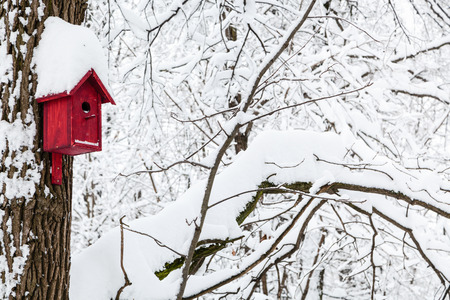 red wooden birdhouse in winter forest of Timiryazevskiy park in Moscow cityの写真素材