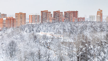cityscape with urban Timiryazevskiy park and residential houses in Moscow city in winter eveningの写真素材