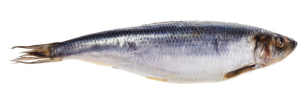 salted herring fish isolated on white backgroundの写真素材