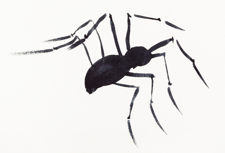Hand painting in sumi-e style on cream paper - one spider drawn by black watercolorsの写真素材