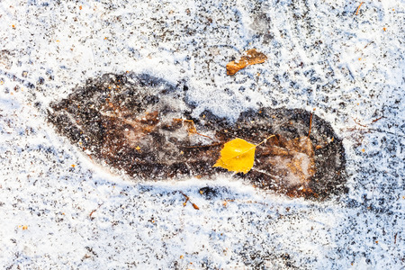 Top view of frozen footprint on path covered with the first snow in cold autumn dayの写真素材