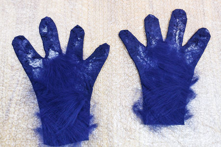 workshop of hand making a fleece gloves from blue Merino sheep wool using wet felting process - back side of gloves with cutting pattern covered by layer of fibersの写真素材