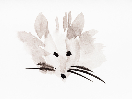 training drawing in sumi-e (suibokuga) style - muzzle of the mouse handpainted by black watercolors on white paperの写真素材