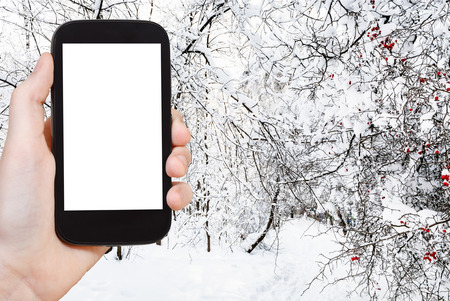 travel concept - tourist photographs of snowy footpath in city park in winter in Moscow city on smartphone with empty cutout screen with blank place for advertisingの写真素材