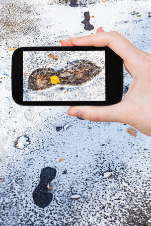 travel concept - tourist photographs of frozen footprints on wet road covered with the first snow in frosty autumn day on smartphone in Moscow, Russiaの写真素材