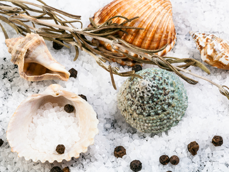 seashells, coarse grained Sea Salt and peppercorns close upの写真素材