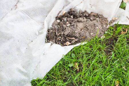 New lawn by non-woven fabric for improving fertility and health of green grassの写真素材